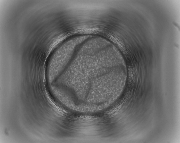 X0000097840582200804111106