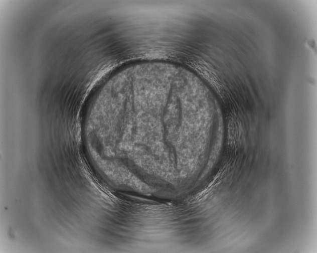 X0000097840584200804111106