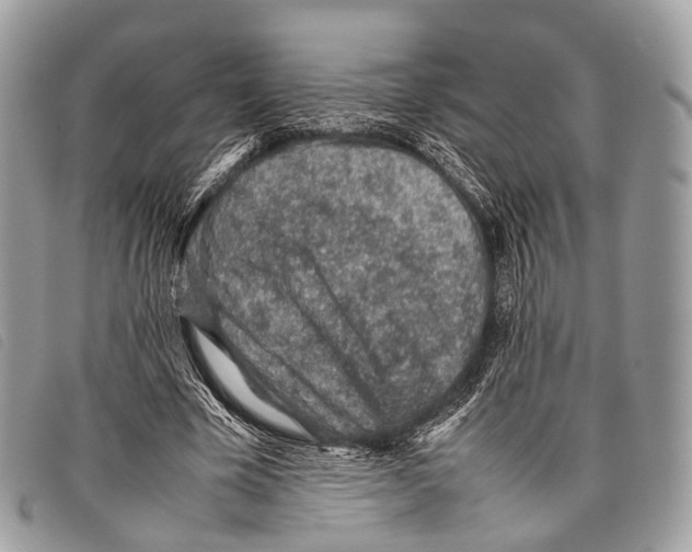 X0000097840585200804111106