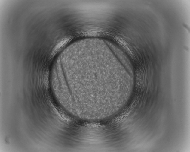X0000097840586200804111106