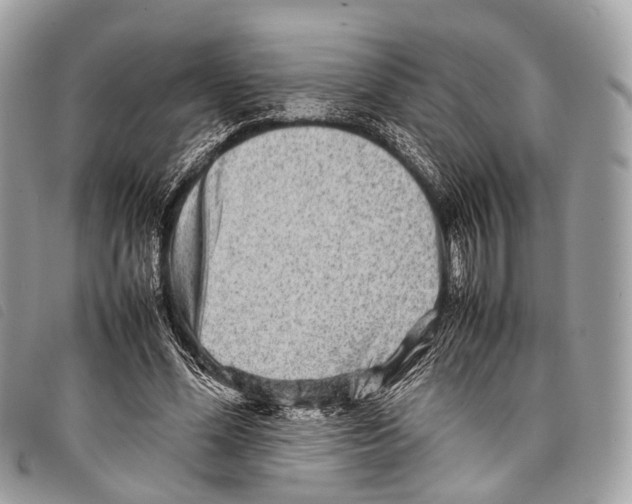 X0000097840588200804111106