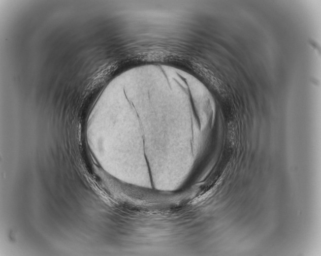 X0000097840589200804111106