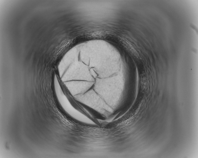 X0000097840593200804111106