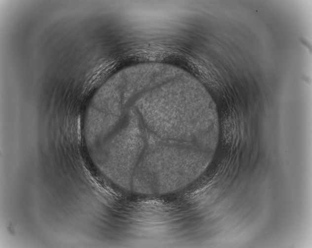 X0000097840594200804111106