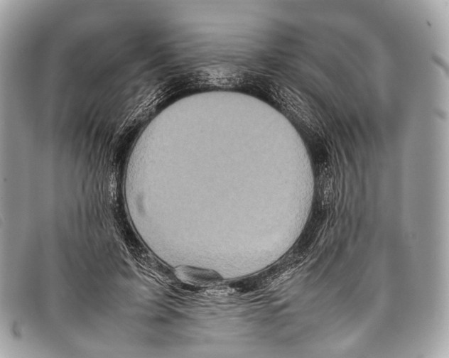 X0000097840595200804111106