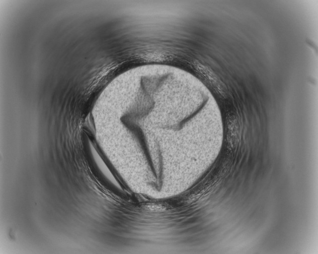 X0000097840596200804111106