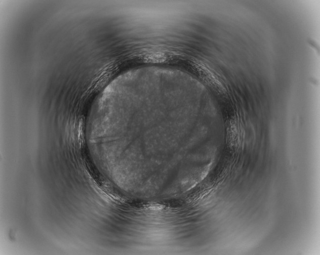 X0000097840598200804111106