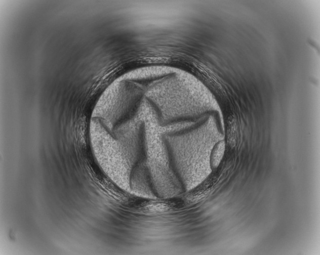 X0000097840604200804111106