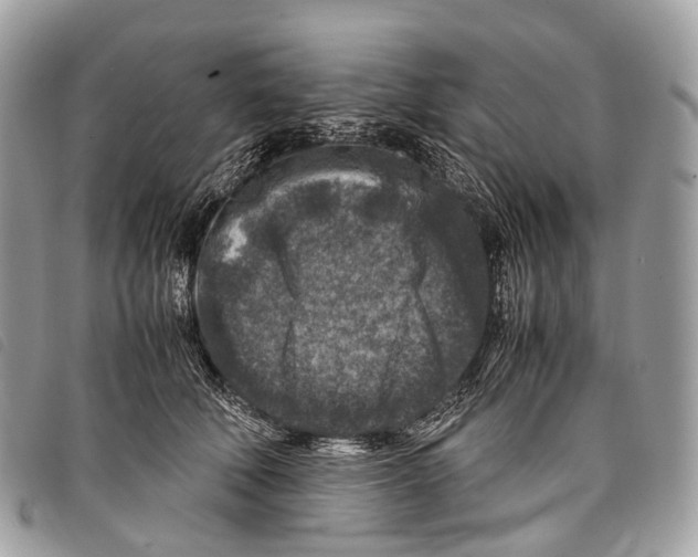 X0000097840610200804111106