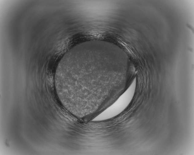 X0000097840613200804111106