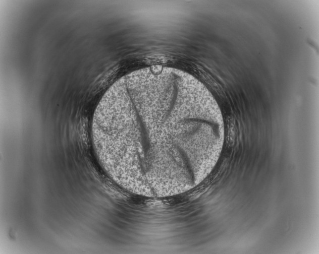 X0000097840616200804111106