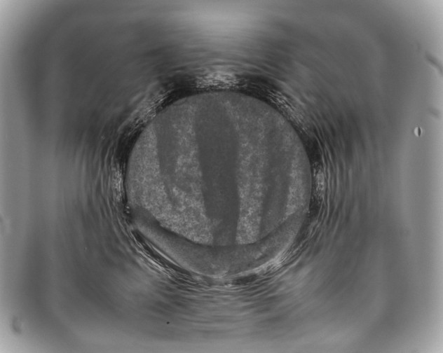 X0000097840617200804111106