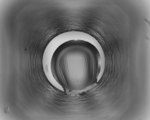 X0000097840621200804111106