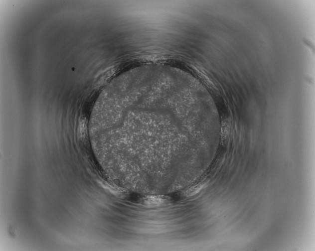 X0000097840623200804111106