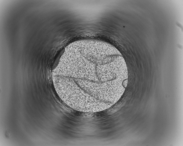 X0000097840624200804111106