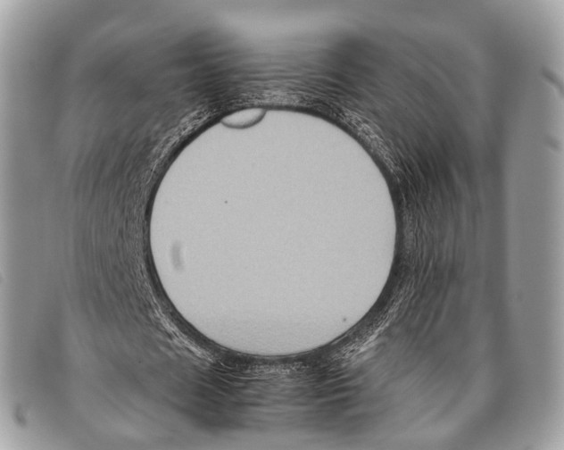 X0000097840625200804111105