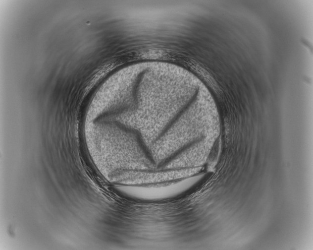 X0000097840626200804111105