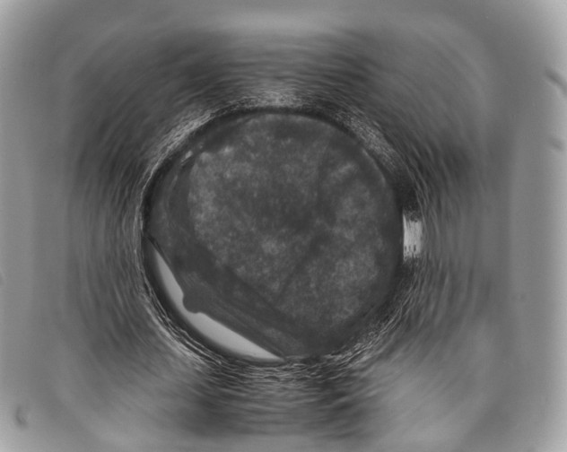 X0000097840627200804111105