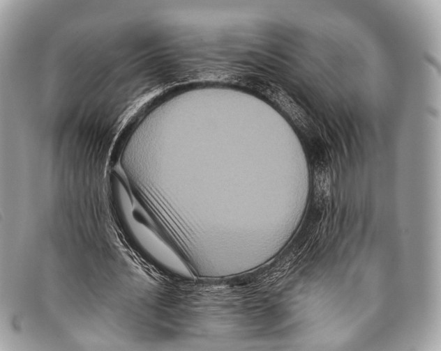 X0000097840628200804111105