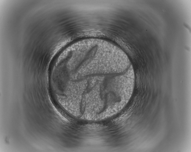 X0000097840630200804111105