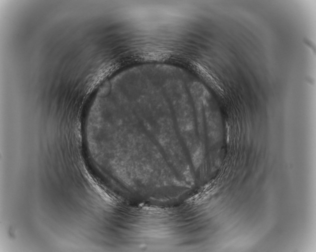 X0000097840634200804111105