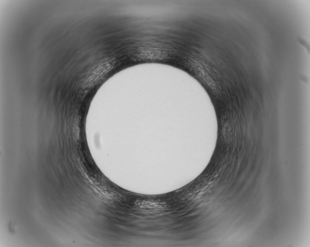 X0000097840635200804111105
