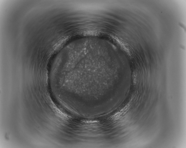 X0000097840637200804111105