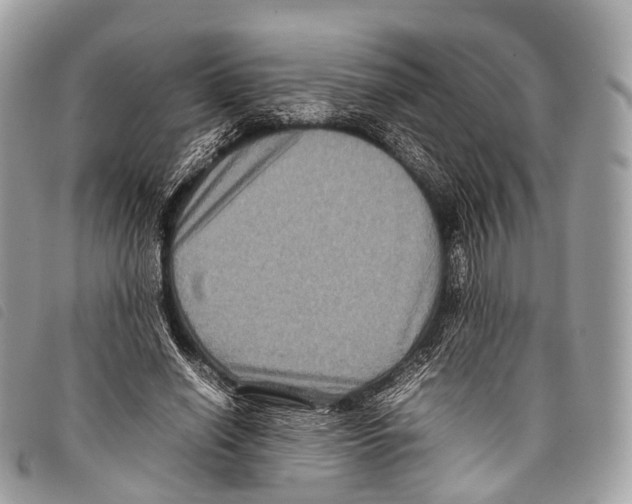 X0000097840638200804111105