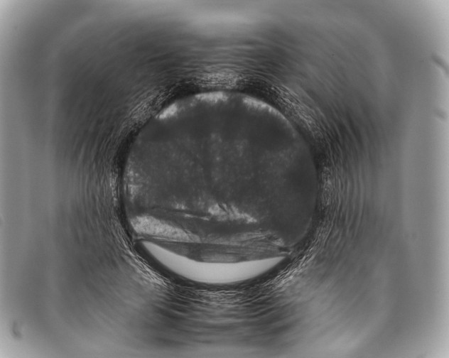 X0000097840641200804111105