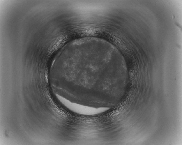X0000097840642200804111105