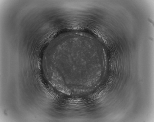 X0000097840643200804111105