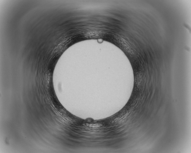 X0000097840645200804111105