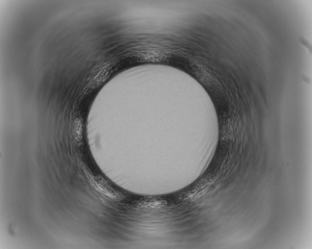 X0000097840646200804111105
