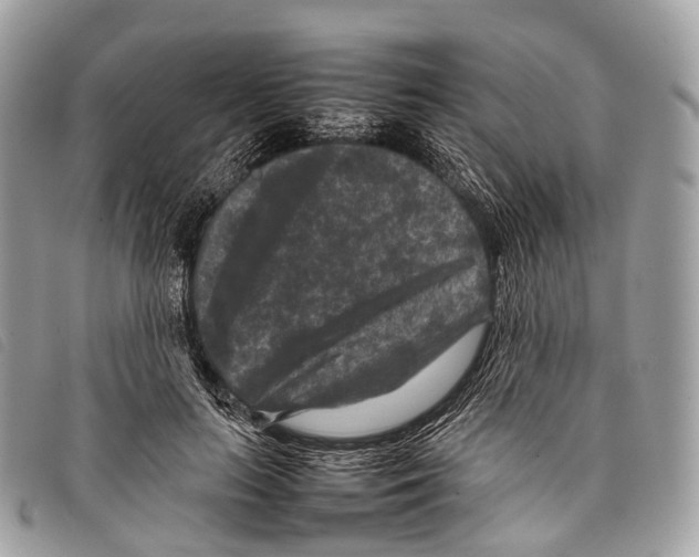 X0000097840647200804111105