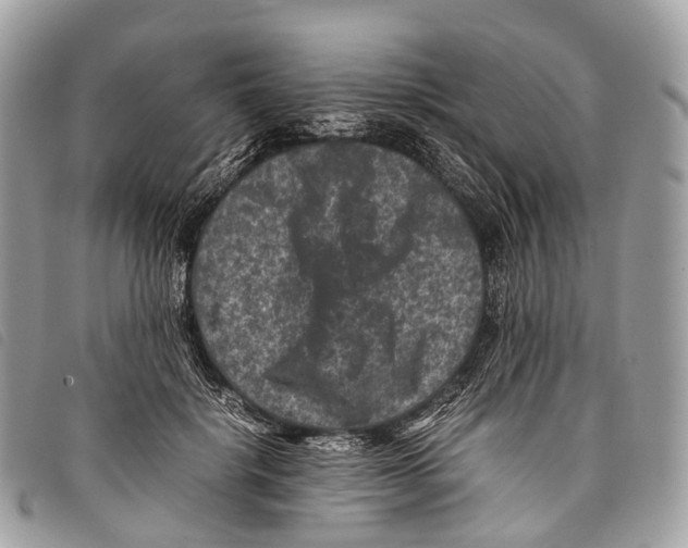 X0000097840652200804111105