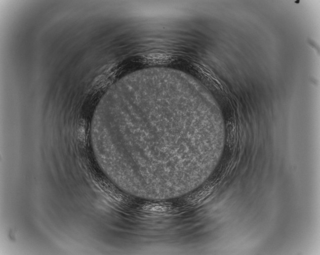 X0000097840655200804111105