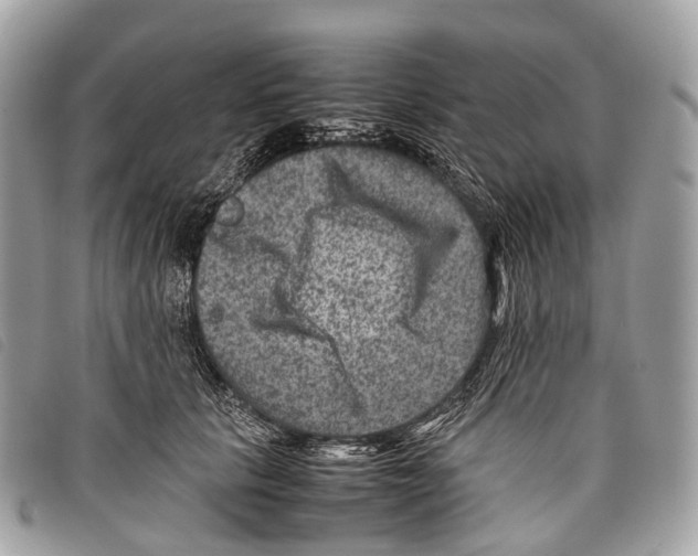 X0000097840657200804111105