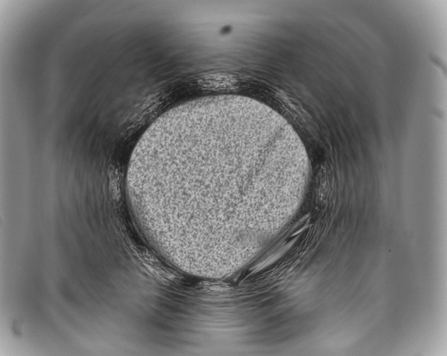 X0000097840658200804111106