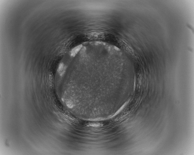 X0000097840659200804111106