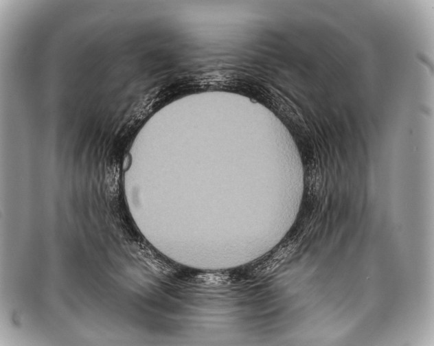 X0000097840660200804111106