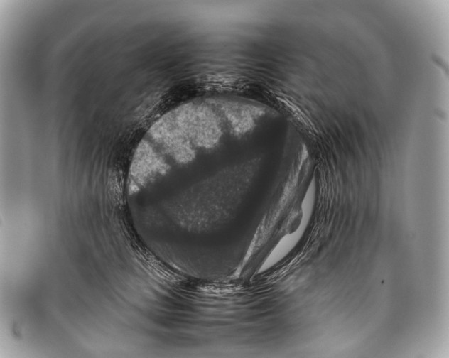 X0000097840661200804111106