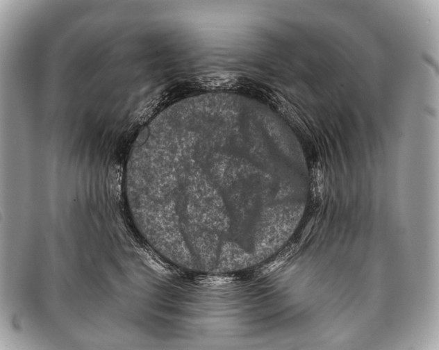 X0000097840664200804111106