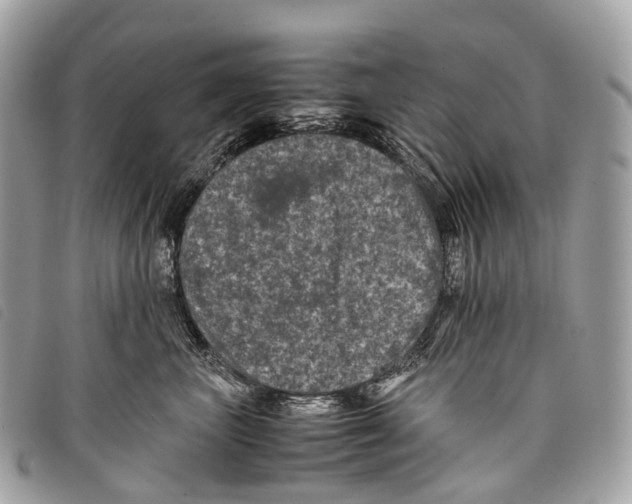 X0000097840667200804111106
