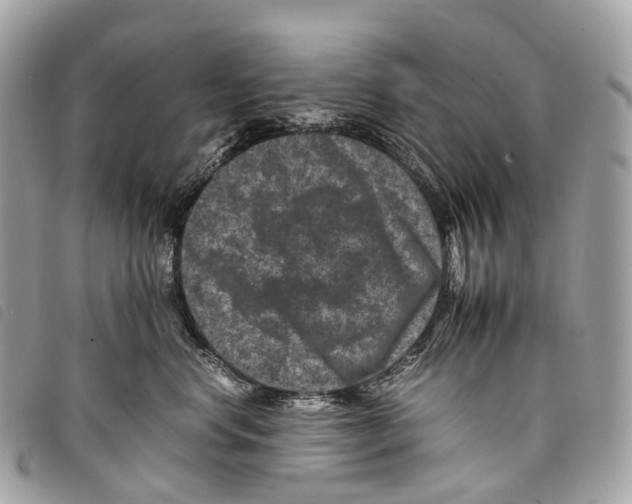 X0000097840668200804111106