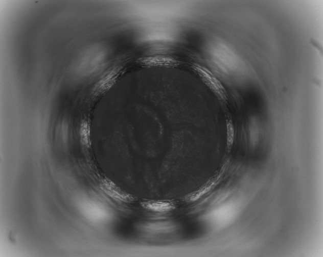 X0000097840669200804111106