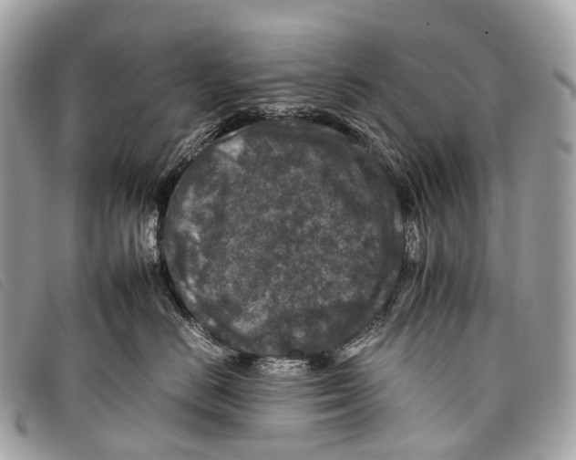 X0000097840670200804111106