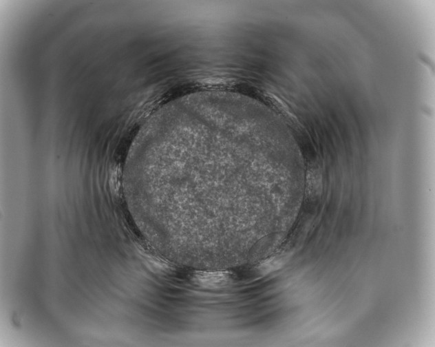 X0000097840671200804111106