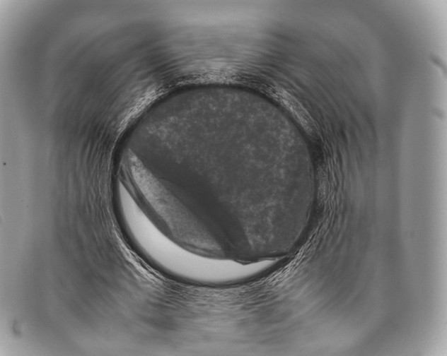 X0000097840677200804111105