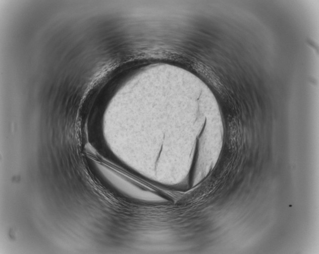 X0000097840680200804111105