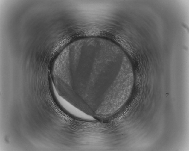 X0000097840681200804111105